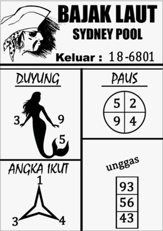 SYAIR SDY VIP